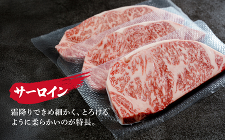 とちぎ和牛の厚切りサーロインステーキ200ｇ(200ｇ×1枚)【栃木県共通返礼品】 | 和牛 ステーキ 栃木県 茂木町