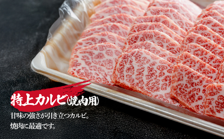 とちぎ和牛の特上カルビ 焼肉用 600g（200g×3）【栃木県共通返礼品】 | 牛肉 カルビ 栃木県 茂木町