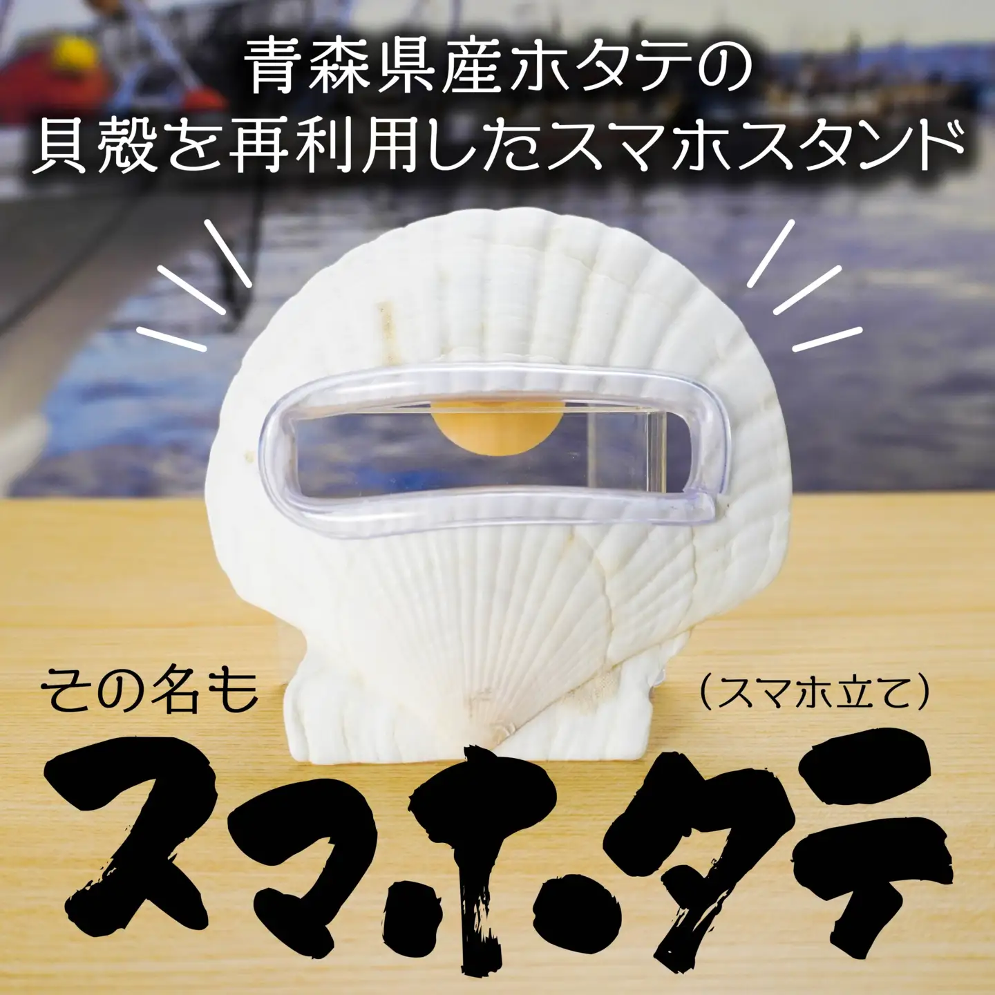 スマホタテ 青森県産 ホタテ 貝殻使用 スマホスタンド 青森県 八戸市