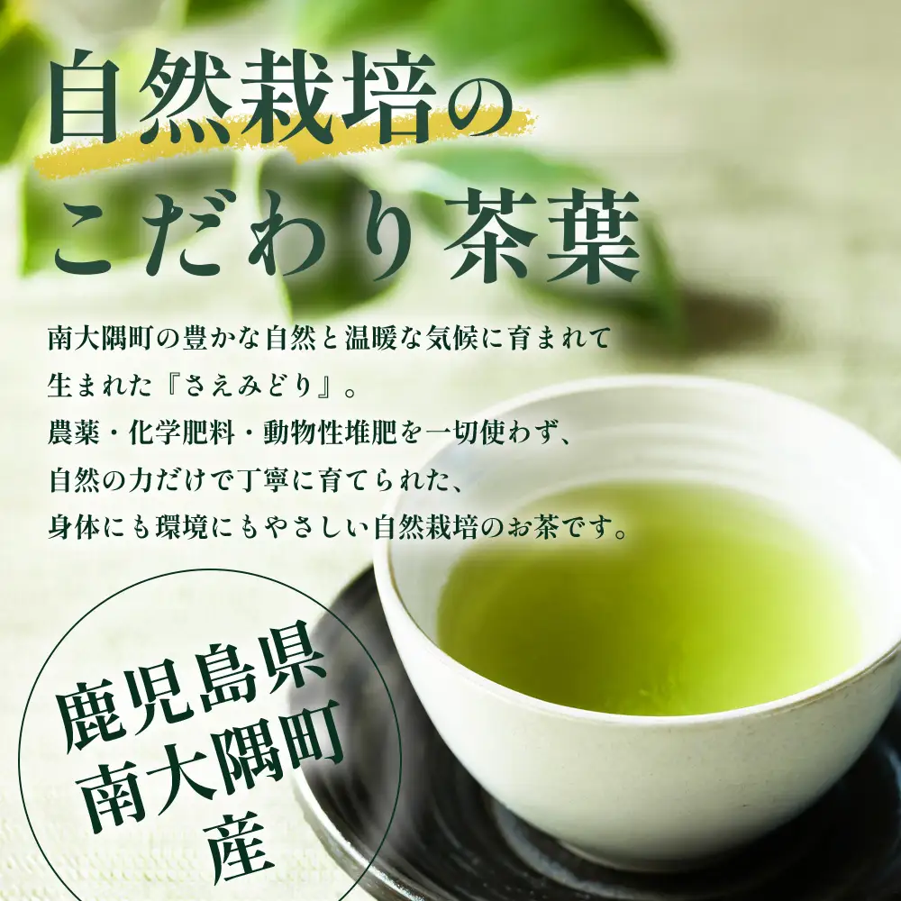 国産 自然栽培 ナナ茶 さえみどり ティーバッグ （2g×15包）×2パック RS-5｜お茶 茶 茶葉 お茶の葉 日本茶 鹿児島茶 おしゃれ ブレンド茶 ケルセチン 無農薬 化学肥料不使用 ティーパック 鹿児島県 南大隅町 株式会社Re-Shine