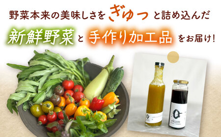 【年4回定期便】 季節の有機野菜セット 2～3人分  [AXBV009]  北海道 詰め合わせ