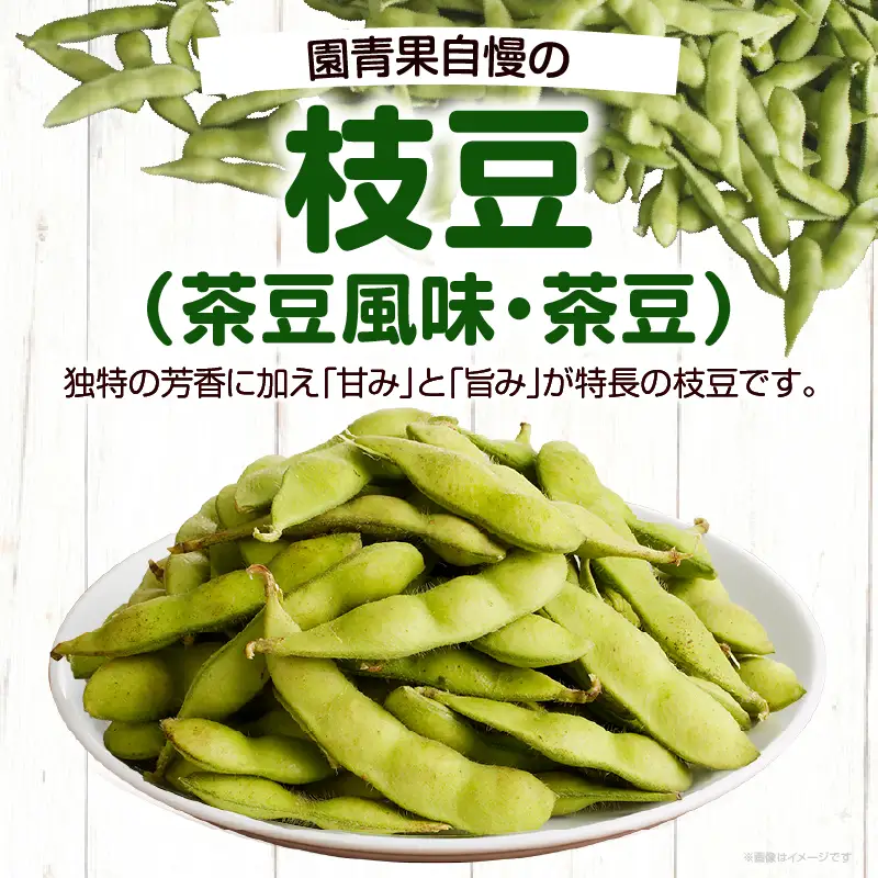 先行予約≪期間限定≫枝豆(茶豆風味・茶豆)計3kg 野菜 旬 国産_T003-0065