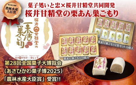 桜井甘精堂 の 栗あん 巣ごもり 20個入 | 和菓子 お菓子 お茶請け 餡子 和風 スイーツ お土産 贈り物 長野県 飯田市 信州