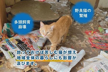 多頭飼育崩壊 支援チケット(047_5010)