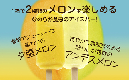 フタバ食品　メロンの季節 夕張＆アンデス　4箱セット　計24本/人気返礼品 フタバ食品 福袋 スイーツ デザート 大容量 プレミアム 人気 お取り寄せ 限定品 オリジナル 食べ比べ 詰め合わせ 氷菓子 バニラ チョコ アソート 大人におすすめ 子供 おやつ 夏 ひんやり 一押し