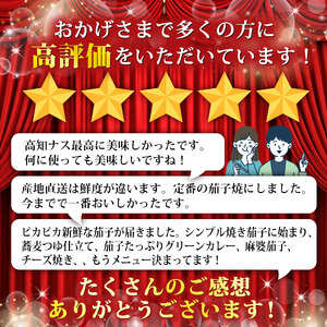 【6回定期便】なす1.5kg 安芸 なす （AZ004）