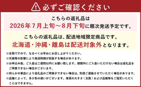 岡山白桃 ロイヤル 4～6玉 約1kg 岡山県産 （早生種・中生種） 【2026年7月上旬～8月下旬迄発送予定】 ／ 白桃 桃 もも 果物 果実 フルーツ 岡山県 美咲町 冷蔵