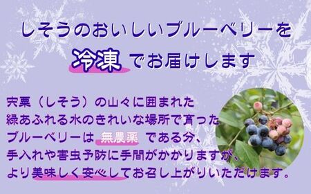 K11　しそうの “ 冷凍 ” ブルーベリー　1kg（500ｇ×2）【 無農薬 冷凍 フローズン アイス ブルーベリー 果物 フルーツ 産地直送 国産 大容量 】