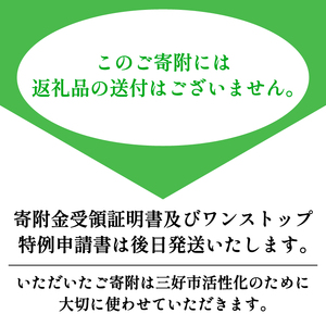 【 返礼品なし 3,000,000円 寄附 】 徳島県 三好市 への 寄附 応援寄附金