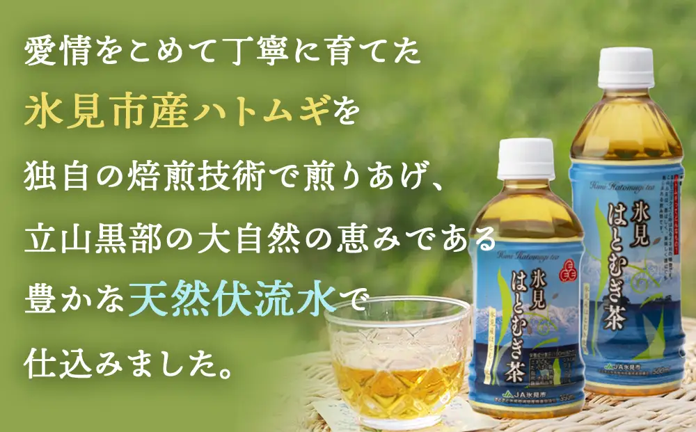 【12ヶ月定期便】氷見はとむぎ茶　ペットボトル 350ml × 24本