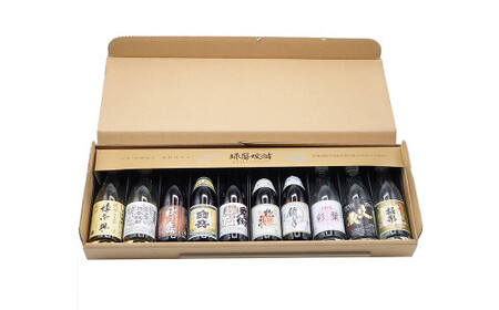 球磨焼酎 10本 詰め合わせ ミニチュア セット 焼酎 米焼酎 25度