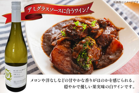 ワイン 南三陸ワイナリー シャルドネ 白 辛口 750ml ×1本 [南三陸さんさんマルシェ 宮城県 南三陸町 m304amh600104]