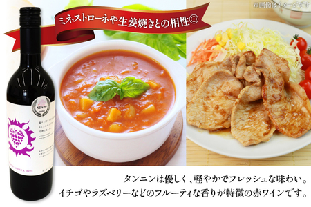 ワイン 南三陸ワイナリー マスカット・べーリーA 赤 辛口 750ml ×1本 [南三陸さんさんマルシェ 宮城県 南三陸町 m304amh600109]