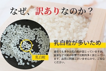 【訳あり】京丹波こしひかり 15kg 《 数量限定 》