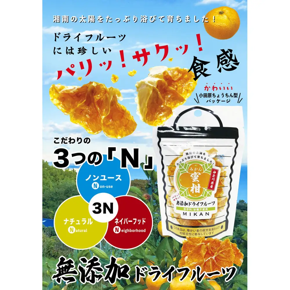 無添加ドライフルーツ(キウイ)16g×2袋入【 神奈川県小田原市 】