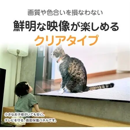 大阪府和泉市　有機ELテレビ55インチ用　テレビ画面保護パネル　クリアタイプ　テレビガード【1669373】