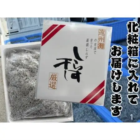 釜揚げしらす 1kg 化粧箱【配送不可地域：離島】【1675703】