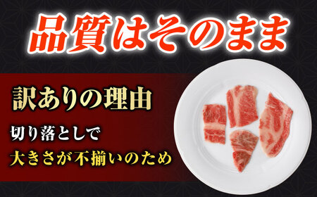 【訳あり】長崎和牛（バラ、モモ、肩ロースのいずれか）500g 切り落とし 250g×2P 小分け 【株式会社時愉亭】[RCE021]