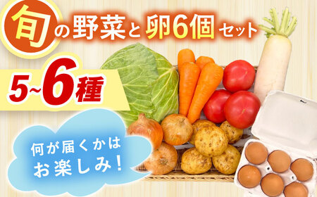 採れたてお野菜おまかせ（5～6種）・卵6個セット/ 野菜 やさい 野菜セット 野菜詰め合わせ 詰め合わせ セット たまご 卵 タマゴ 紅たまご こだまさんち / 大村市 / かとりストアー[ACAN105]