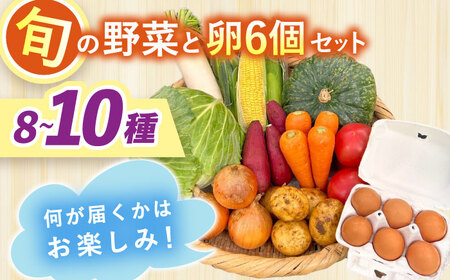 採れたてお野菜おまかせ（8～10種）・卵6個セット/ 野菜 やさい 野菜セット 野菜詰め合わせ 詰め合わせ セット たまご 卵 タマゴ 紅たまご こだまさんち / 大村市 / かとりストアー[ACAN107]