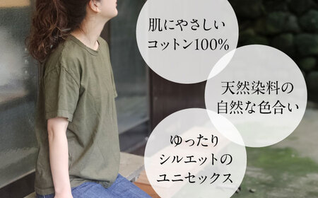 オーガニックコットン 完熟Tシャツ　【海松色】 Lサイズ / オーガニック コットン 綿100　手染め 草木染め Ｔシャツ 半袖 トップス ファッション インナー 女性用 レディース 男性用 メンズ ユニセックス 男女兼用 ギフト 贈答 プレゼント / 大村市 / ISTIST[ACZW060-3]