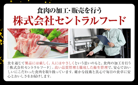 茨城県産 豚肩 ロース スライス 2kg 1パック 500g 株式会社セントラルフード 《60日以内に出荷予定(土日祝除く)》肉 豚肉 ロース 国産 スライス 生姜焼き 豚しゃぶ 肉じゃが 茨城県 結城市
