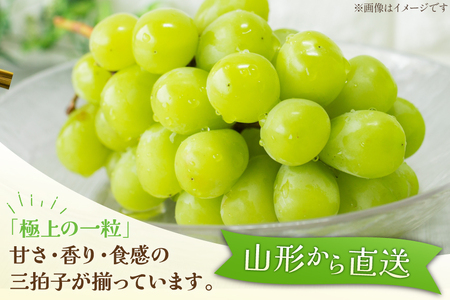 【期間限定発送】【2026年発送】 シャインマスカット 秀品 約2kg (約3～4房) [齋藤農園 山形県 高畠町 tk06bgt070000] 