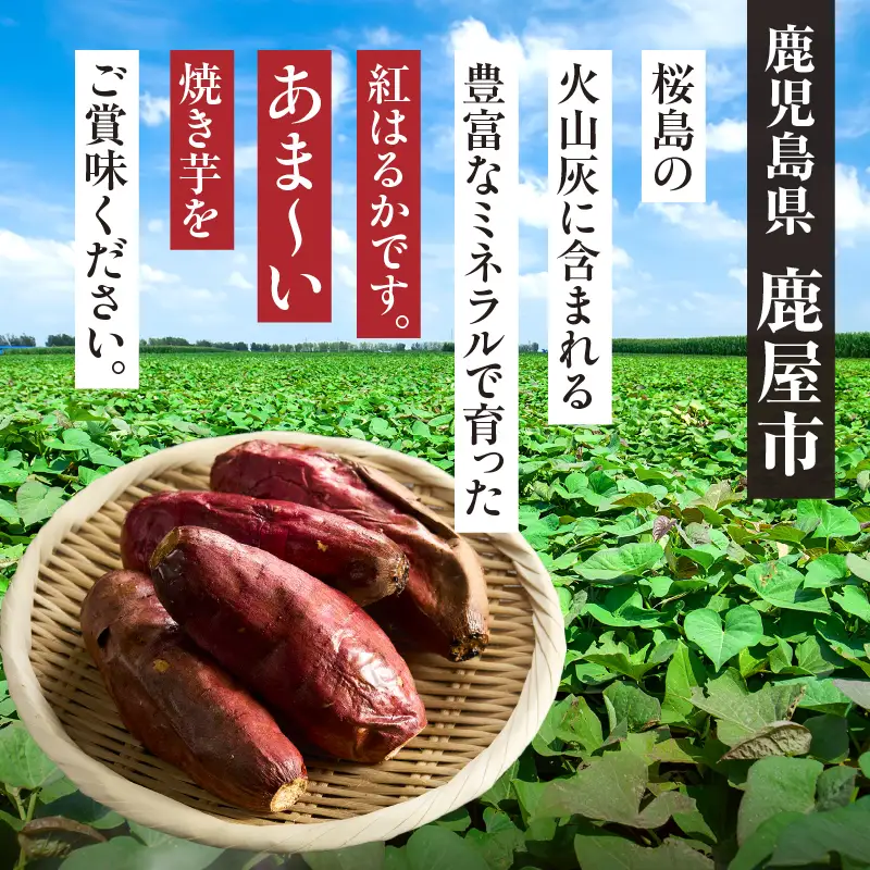 紅はるか 冷凍焼き芋 2kg KN046-011-02 冷凍
