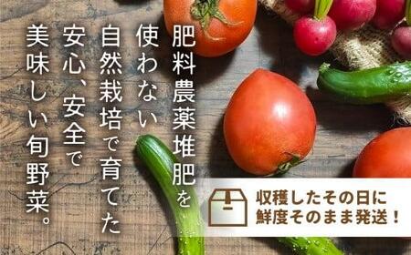 【数量限定】【2026年予約受付】（7月～発送開始） 自然栽培 朝採れ 野菜セット 5～8種 | 先行予約 新鮮 野菜 採れたて トマト ナス キュウリ ゴーヤ オクラ ネギ ししとう 冬瓜半割 ジャガイモ 玉ねぎ など お任せ 飛騨高山 よしま農園 CK008