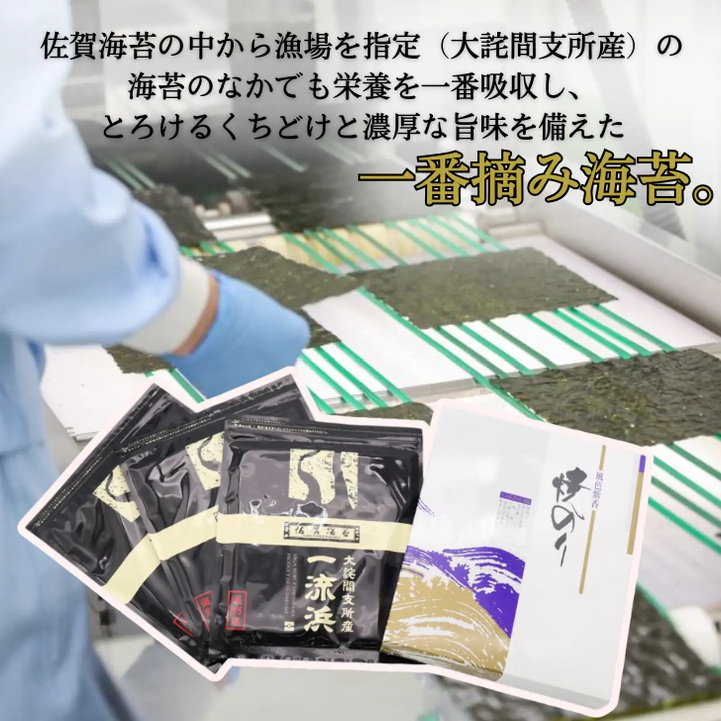 佐賀海苔 一流浜 一番摘み「選別品」全形8枚×3袋 化粧箱入り 焼き海苔 有明海苔 ：B135-021