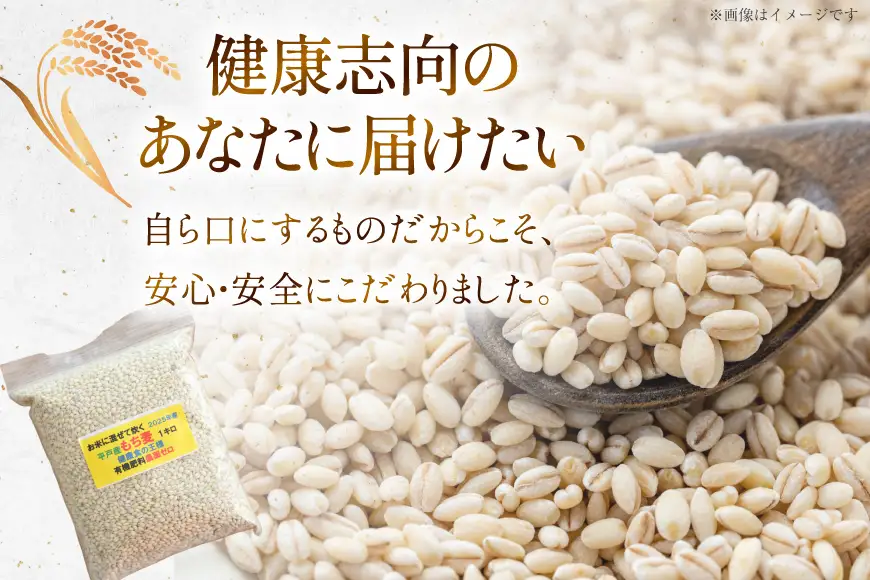 【簡単！米に混ぜて炊くだけ！】もち麦 1kg [エコファーム永田 長崎県 平戸市 hr42bgy400000]