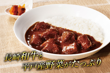 カレー セット 平戸 ビーフ カレー 12食 セット 辛口 3回 定期便 [カレー工房NVfoods 長崎県 平戸市 hr42bgy400045]