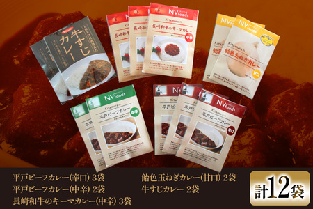 カレー セット カレー 5種 計12袋 セット [カレー工房NVfoods 長崎県 平戸市 hr42bgy400060]