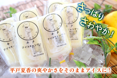 アイスキャンディー ギフト シャーベット オレンジ アイス 平戸夏香のアイスキャンデー 10本 100ml/本 [ハレルヤ合同会社 長崎県 平戸市 hr42bgy400139]