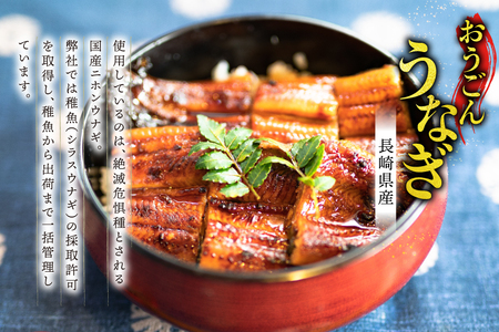 うなぎ 国産 蒲焼 長崎県産 おうごんうなぎ 松 セット 約1kg 6尾～8尾 3回 定期便 総計 約3kg [松永水産 長崎県 平戸市 hr42bgy400019]