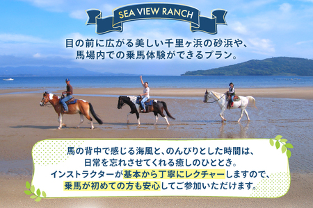 体験 乗馬 平戸の浜辺で本格乗馬体験 50分 [(株)シービューランチ 長崎県 平戸市 hr42bgy390076]