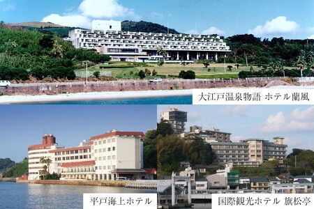 宿泊 クーポン 平戸 宿泊施設 で使える 割引券 12,000円分 [平戸観光交流センター 長崎県 平戸市 hr42bgy390018]