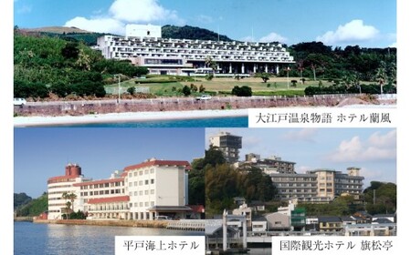 宿泊 クーポン 平戸 宿泊施設 で使える 割引券 6,000円分 [平戸観光交流センター 長崎県 平戸市 hr42bgy390024]