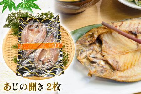 魚 干物 漬け 塩辛 ごはんのお供 塩干し みりん干し 漬け 塩辛 セット 6回 定期便 [末弘丸 長崎県 平戸市 hr42bgy420442]