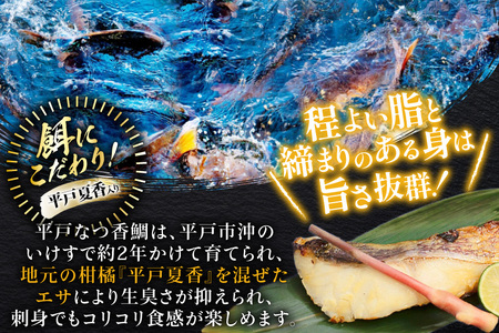 魚 タイ 漬け 平戸なつ香鯛 漬け×2本 味噌漬け×5枚 セット 3回 定期便 [末弘丸 長崎県 平戸市 hr42bgy420452]