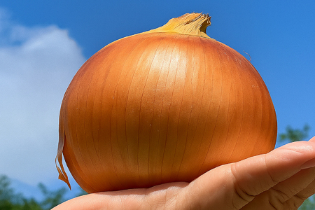 野菜 玉ねぎ うまか 吊り 玉葱 約8kg 【期間限定発送】 [しげさん農園 長崎県 平戸市 hr42bgy420281]