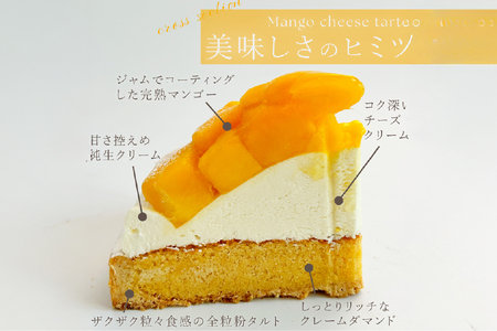 完熟 マンゴー チーズ タルト 1ホール 14cm [心優-Cotoyu Sweets- 長崎県 平戸市 hr42bjo490014]