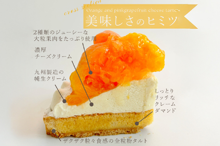 フルーツ タルト オレンジ & ピンク グレープフルーツ チーズタルト 1ホール 14cm [心優-Cotoyu Sweets- 長崎県 平戸市 hr42bjo490029]