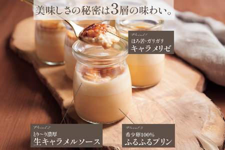 キャラメル ブリュレ プリン プレーン6個と季節の味6種各1個 計12個 [心優-Cotoyu Sweets- 長崎県 平戸市 hr42bjo490244]
