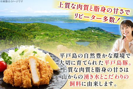 とんかつ 豚肉 平戸島豚 トンカツ 用 ヒレ ・ ロース 約1kg [前川精肉店 長崎県 平戸市 hr42bgy420050]