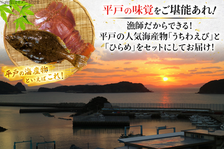 ひらめ 海老 刺盛セット ひらめ うちわ海老 刺盛セット 約320g [平戸さくら水産 長崎県 平戸市 hr42bgy420047]