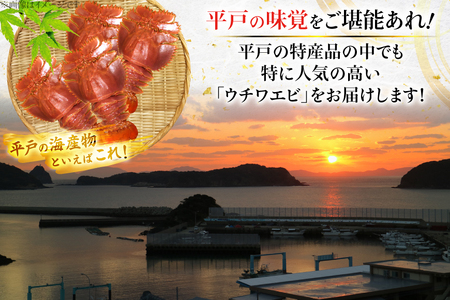 エビ 海鮮 刺身 平戸 ウチワエビ 2～6尾 500g [平戸さくら水産 長崎県 平戸市 hr42bgy420360]