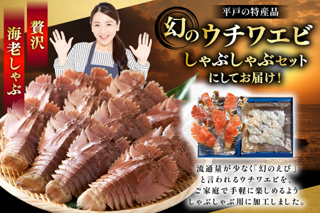 うちわえび エビ 海老 刺身 しゃぶしゃぶ 海鮮 ウチワエビ刺身 約200g・ウチワエビ半身 約400g セット 総計600g [ひばり 長崎県 平戸市 hr42bgy420035]