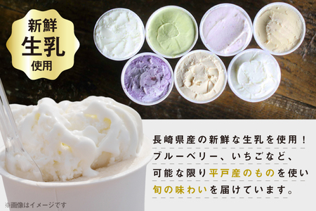 ジェラート アイス ミルク ジェラート100ml 8種 [平戸瀬戸市場 長崎県 平戸市 hr42bgy420250]