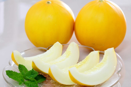 【期間限定発送】 メロン 2026 イエローキングメロン 計 5kg 前後 3玉 ~ 6玉 [ひらど新鮮市場 長崎県 平戸市 hr42bgy400029]